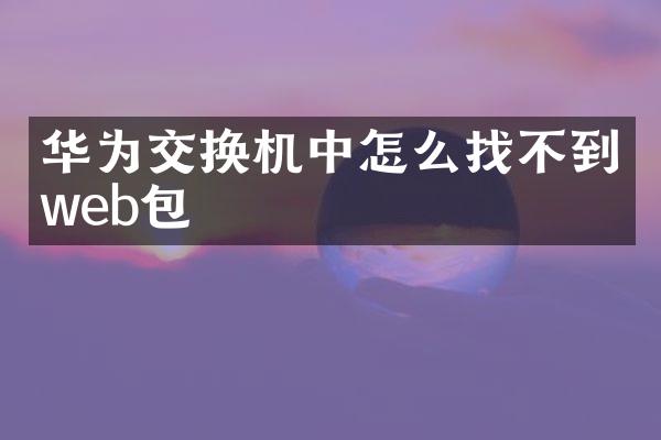 华为交换机中怎么找不到web包