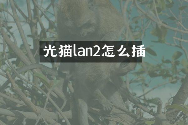 光猫lan2怎么插