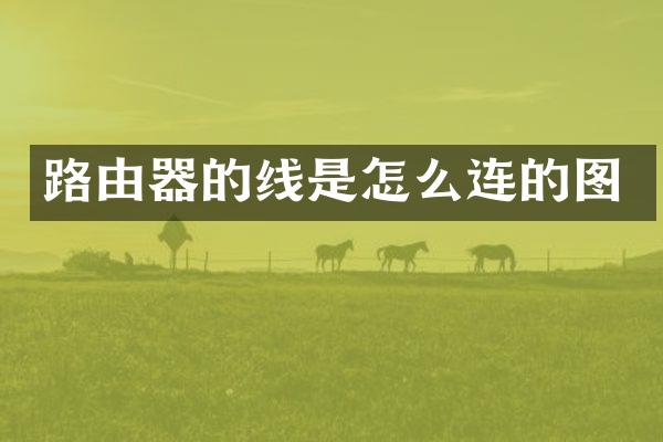 路由器的线是怎么连的图