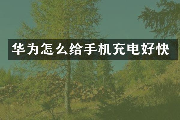 华为怎么给手机充电好快