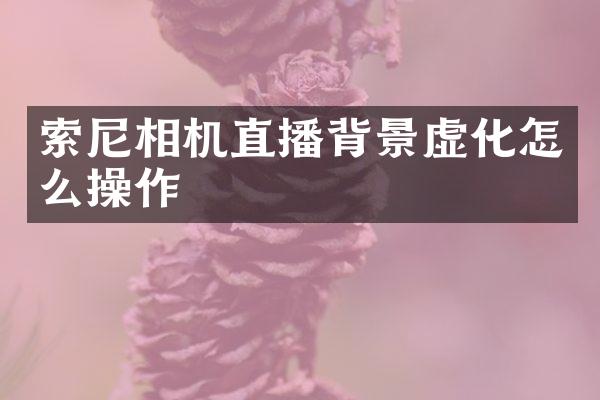 相机直播背景虚化怎么操作