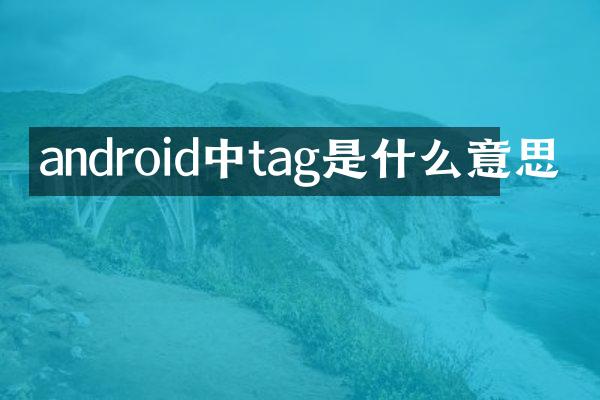 android中tag是什么意思
