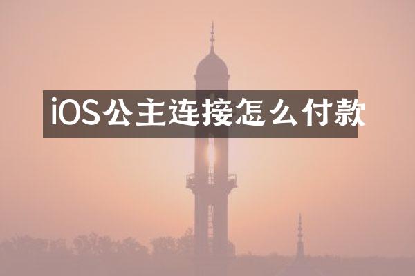 iOS公主连接怎么付款
