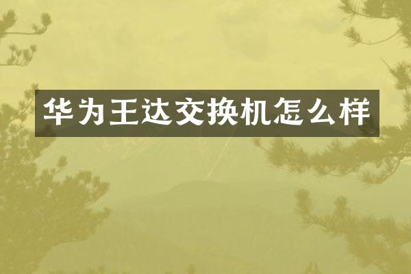 华为王达交换机怎么样