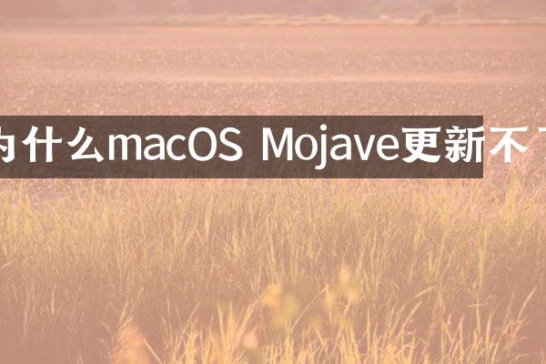 为什么macOS Mojave更新不了