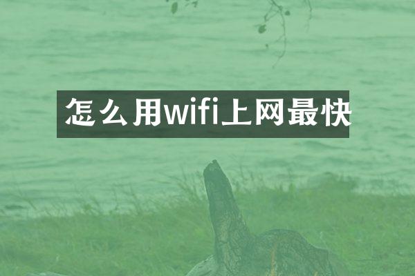 怎么用wifi上网最快
