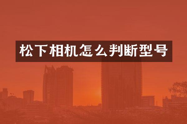 相机怎么判断型号
