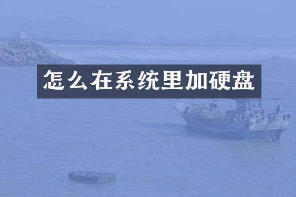 怎么在系统里加硬盘