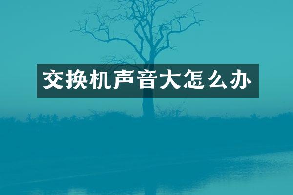 交换机声音大怎么办