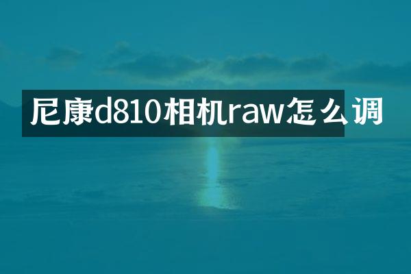 尼康d810相机raw怎么调