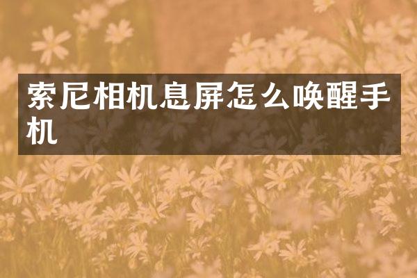 相机息屏怎么唤醒手机