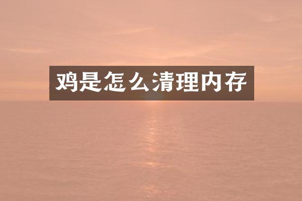 鸡是怎么清理内存