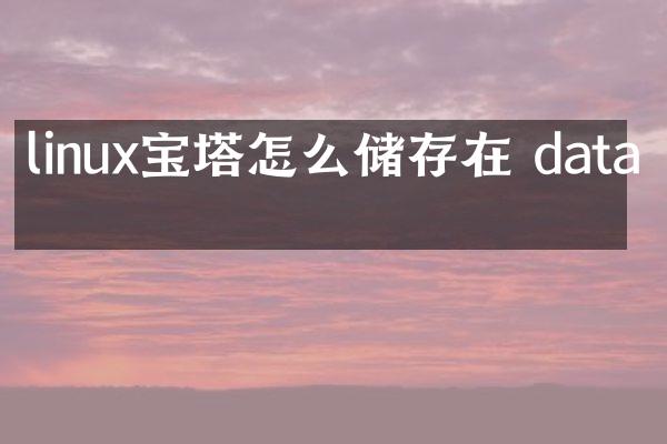 linux宝塔怎么储存在 data盘