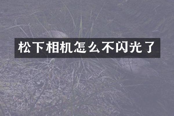 相机怎么不闪光了