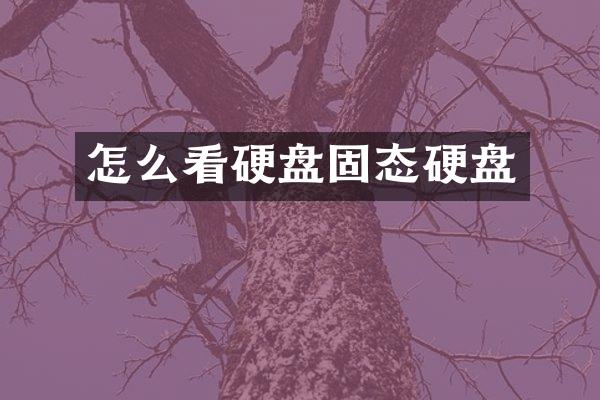 怎么看硬盘固态硬盘