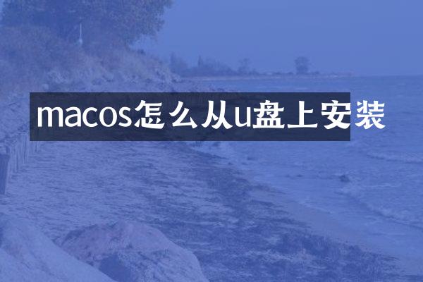 macos怎么从u盘上安装