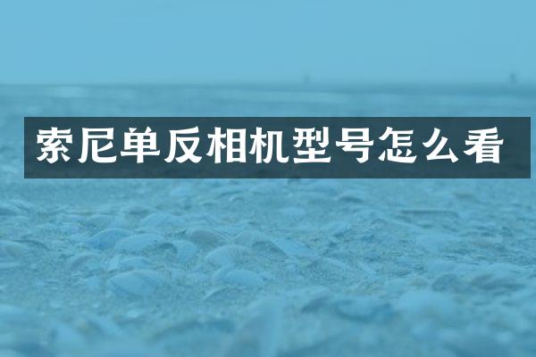 单反相机型号怎么看