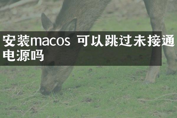 安装macos 可以跳过未接通电源吗