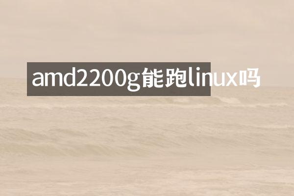 amd2200g能跑linux吗