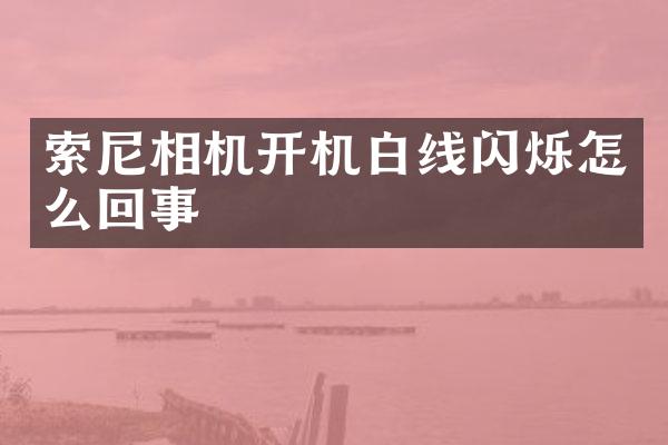 相机开机白线闪烁怎么回事