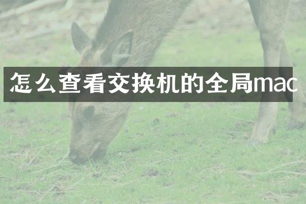 怎么查看交换机的全局mac