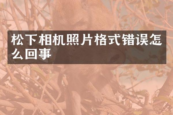 相机照片格式错误怎么回事