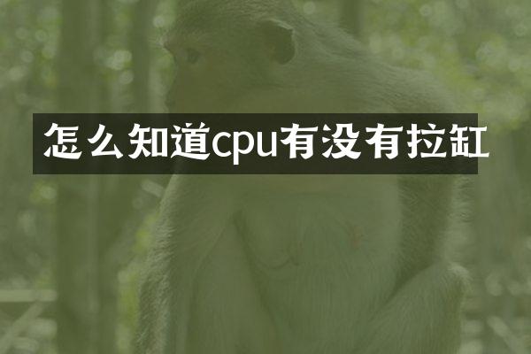 怎么知道cpu有没有拉缸