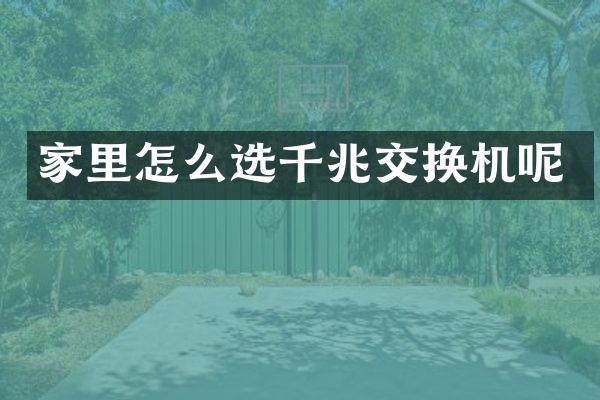 家里怎么选千兆交换机呢