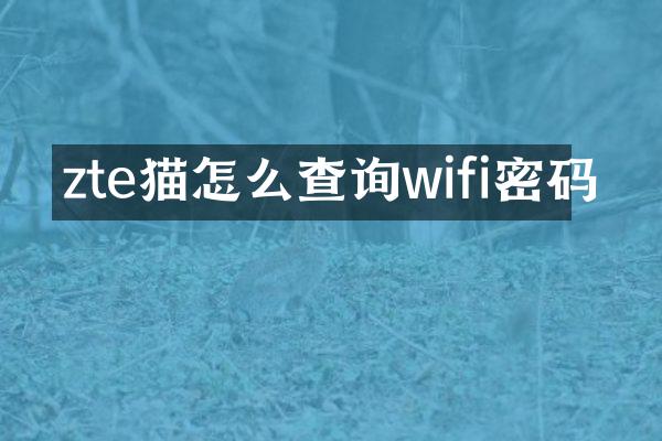 zte猫怎么查询wifi密码