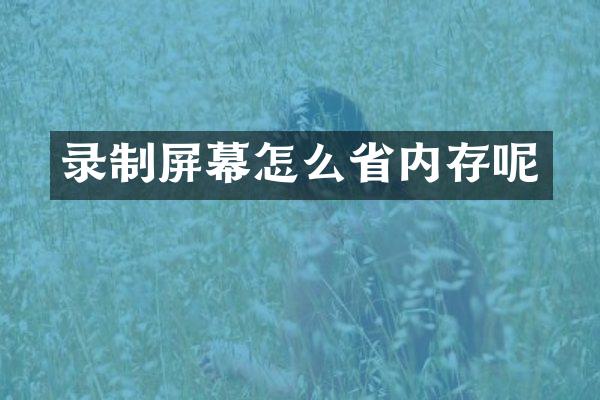 录制屏幕怎么省内存呢