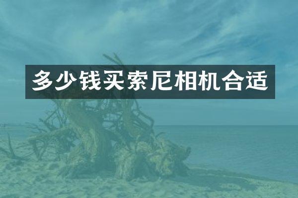 多少钱买相机合适