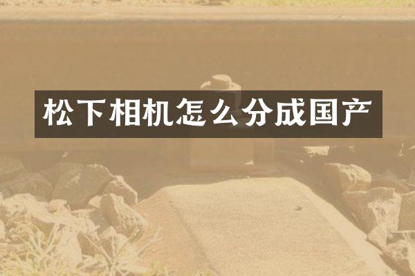 相机怎么分成国产