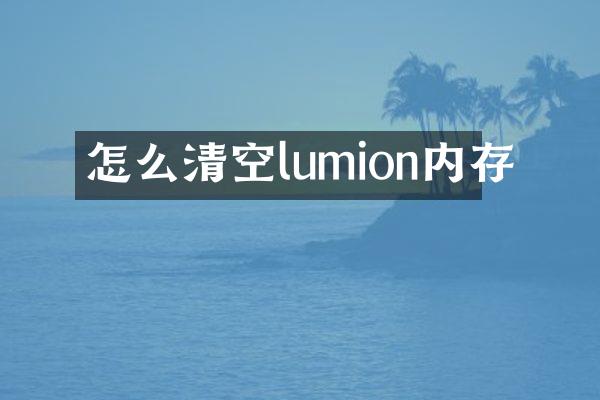 怎么清空lumion内存