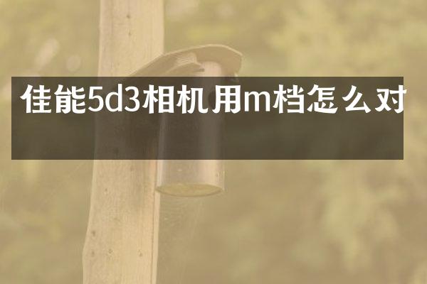 佳能5d3相机用m档怎么对焦