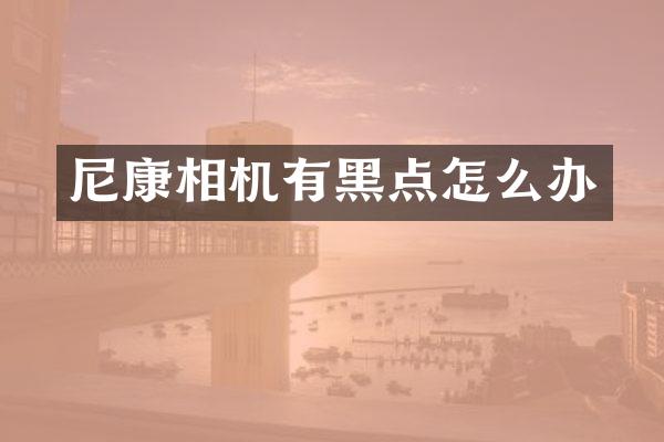 尼康相机有黑点怎么办