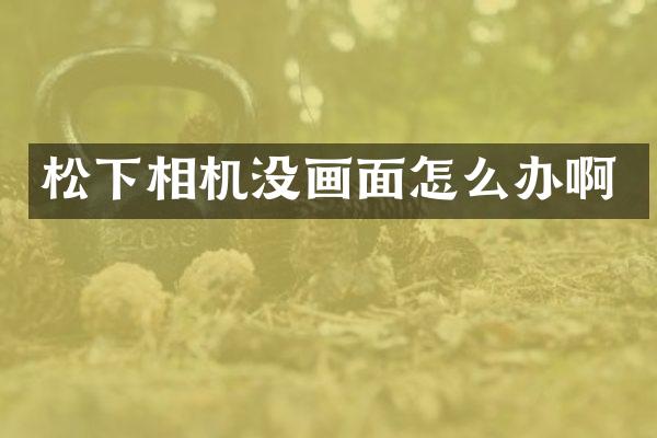 相机没画面怎么办啊