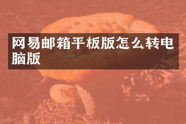 网易邮箱平板版怎么转电脑版