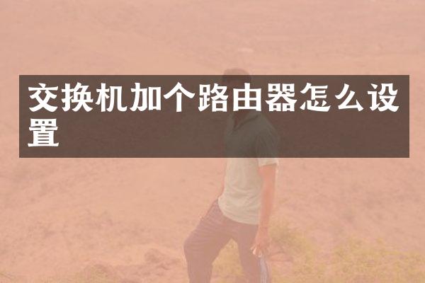 交换机加个路由器怎么设置