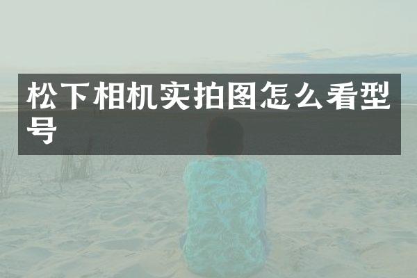 相机实拍图怎么看型号