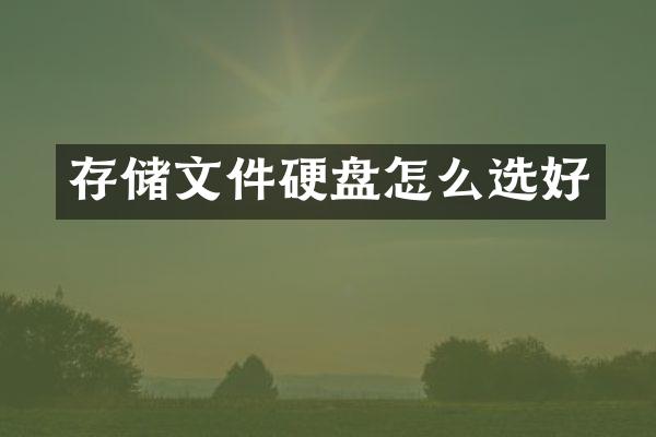 存储文件硬盘怎么选好