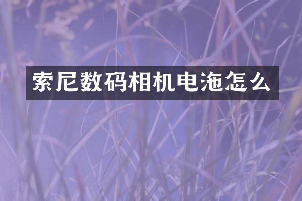 数码相机电沲怎么
