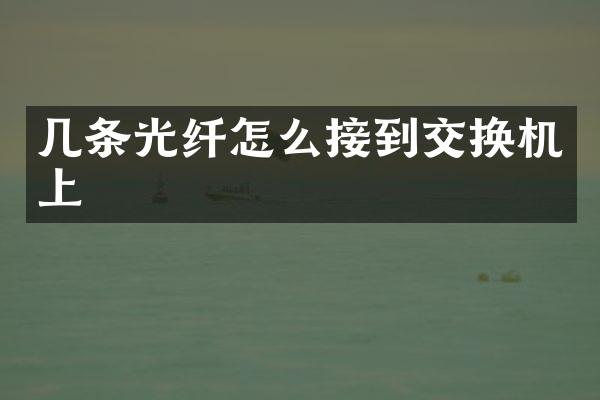 几条光纤怎么接到交换机上