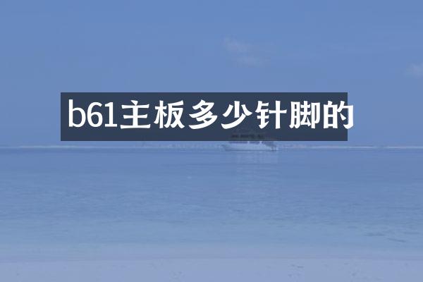 b61主板多少针脚的