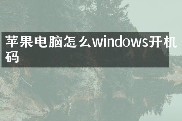 苹果电脑怎么windows开机密码
