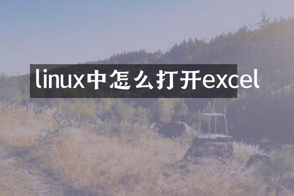 linux中怎么打开excel