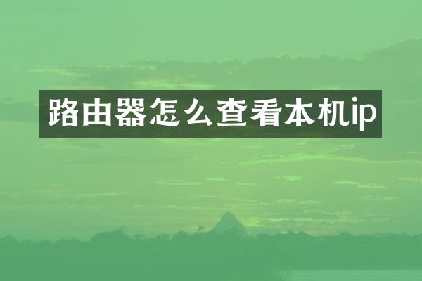路由器怎么查看本机ip