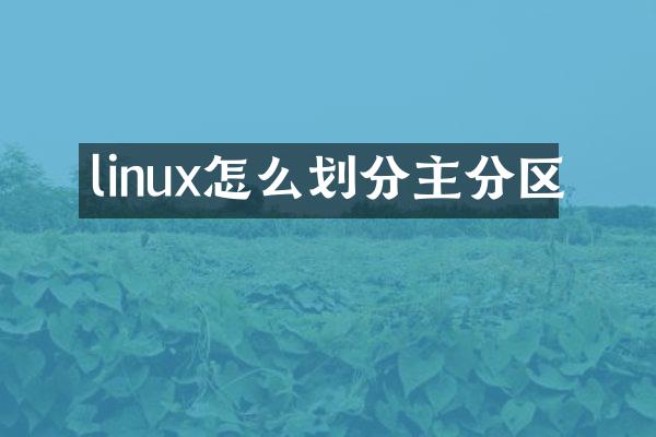 linux怎么划分主分区