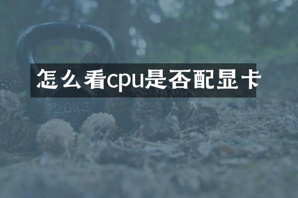 怎么看cpu是否配显卡