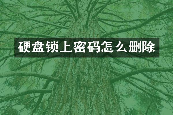 硬盘锁上密码怎么删除