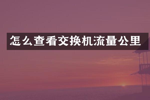 怎么查看交换机流量公里